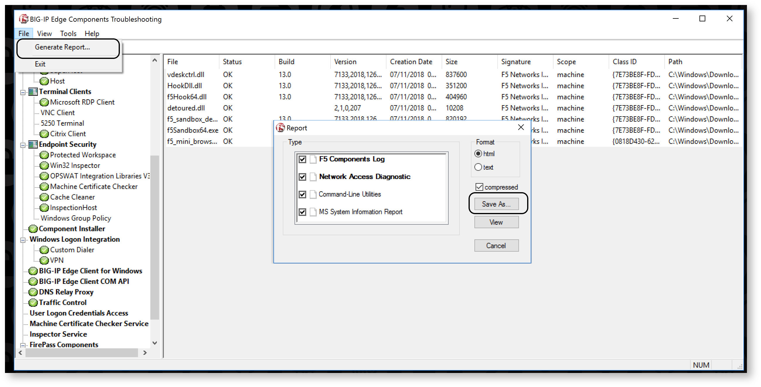 big ip edge client