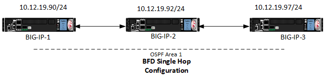 Overview Of BFD Protocol